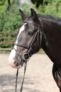 Tarron 064