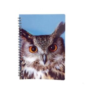 Greetings Cards & Stationery