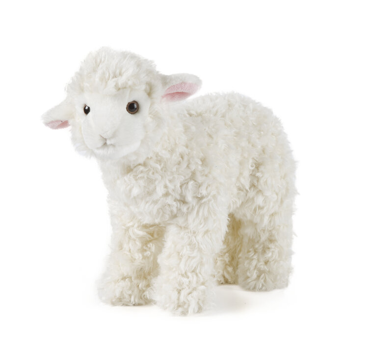 Large Lamb | Deen City Farm Online Shop