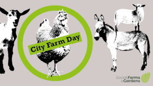 #CityFarmDay 2021