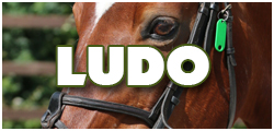 LudoHorse