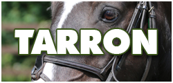 TarronHorse