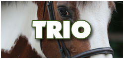 TrioHorse
