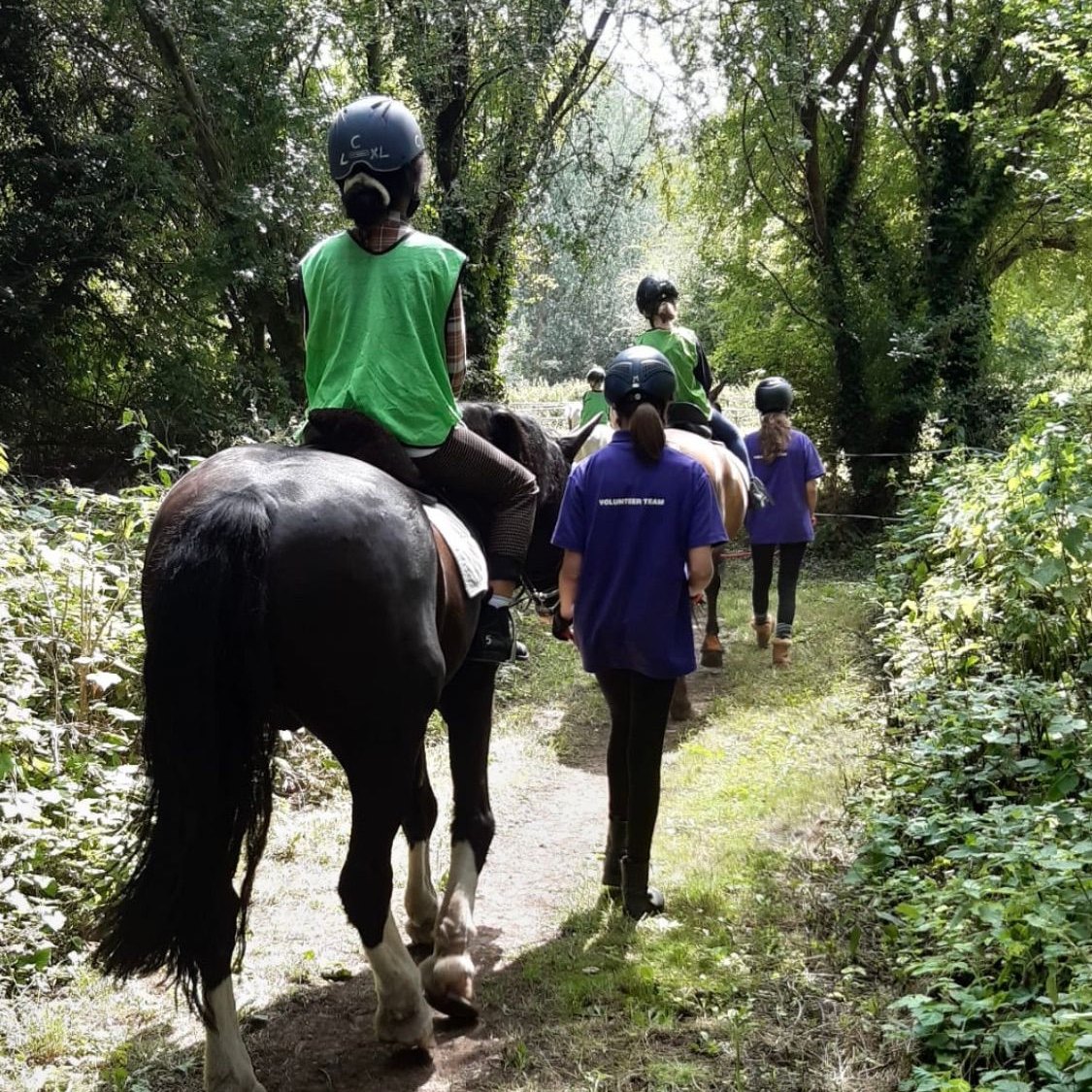 Pony Ride Own A Pony Day