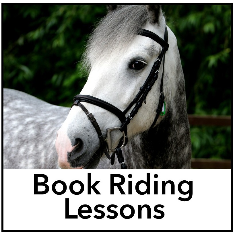 book lessons