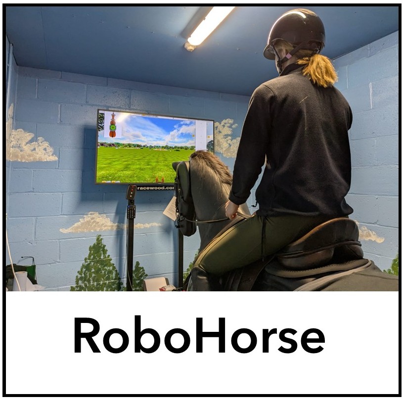 robohorse2