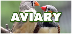 AviaryDCF