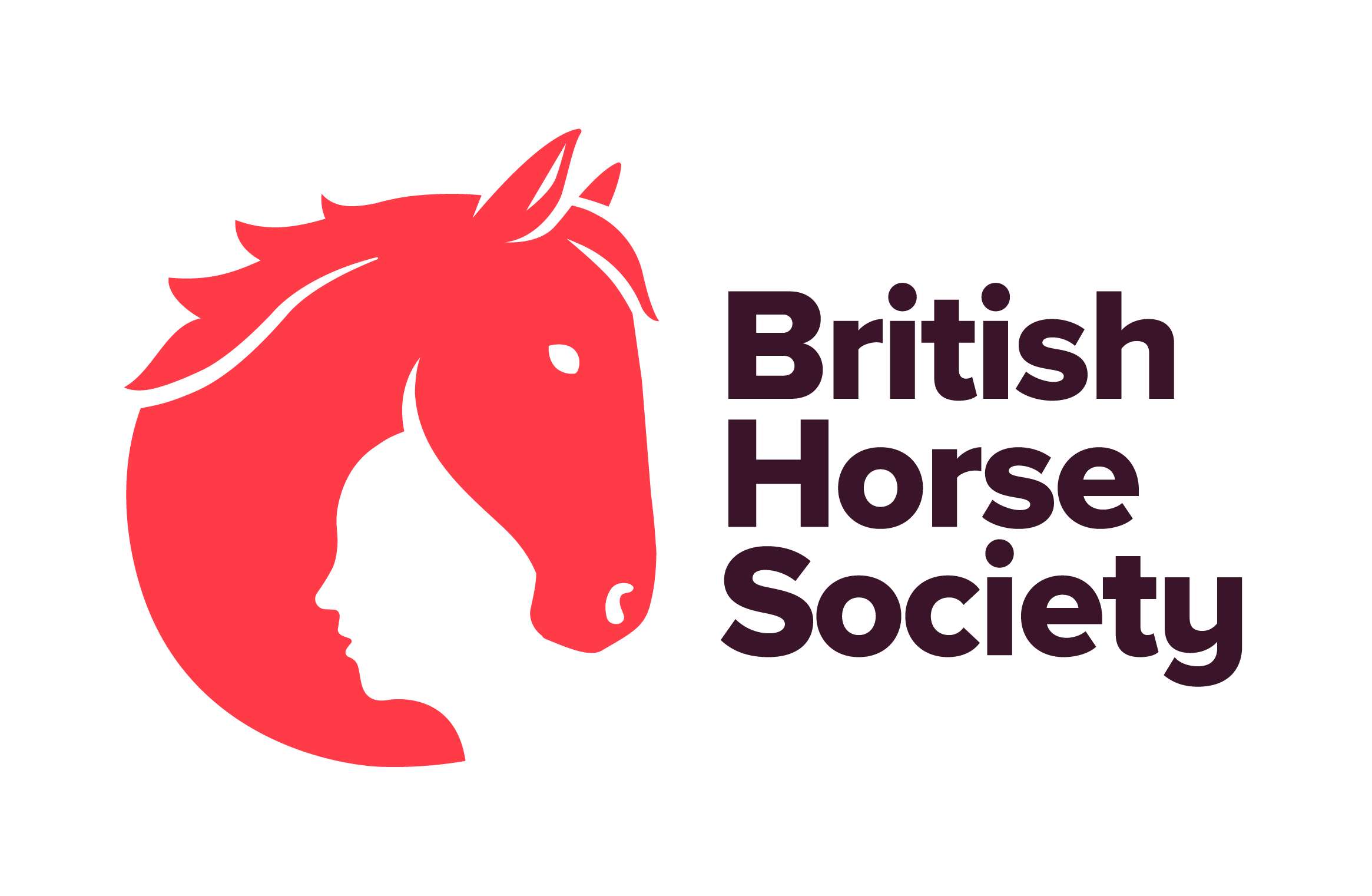 BHS_PrimaryLogo_RGB